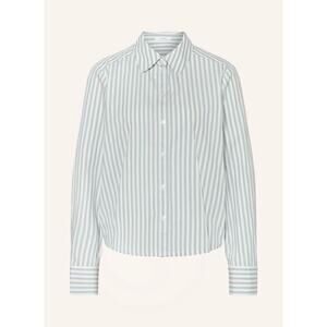 opus febula Blue Grey white Striped Button Down 44 XXL